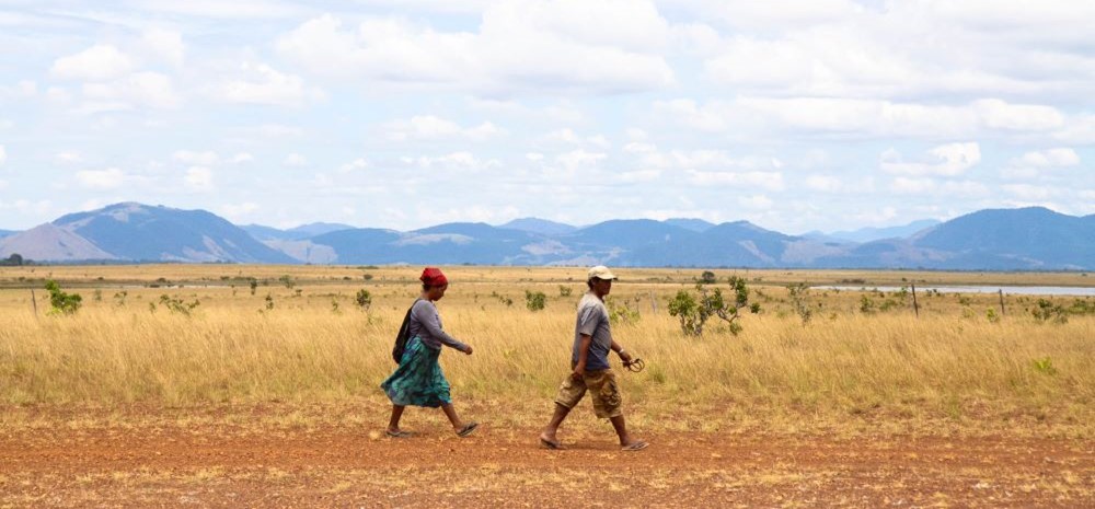 People walking across field in Guyana