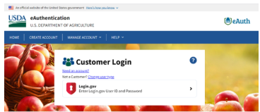 e-Auth customer login